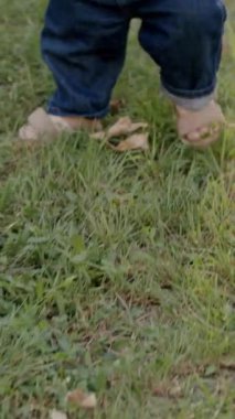 Bebek çimen ve yapraklarla meşgul, canlı bir açık havada dokuları ve renkleri keşfediyor, merakın ve duyusal keşfin özünü yakalıyor.