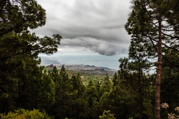 Miasto Santa Cruz de Tenerife postrzegane z rozliczeń z Thi — Zdjęcie stockowe