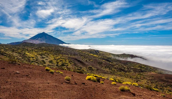 Veduta dei dintorni dell'Osservatorio Astronomico del Teide — Foto Stock