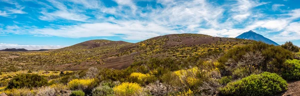 Panoramiczny widok na okolice na Teide astronomiczne obs — Zdjęcie stockowe