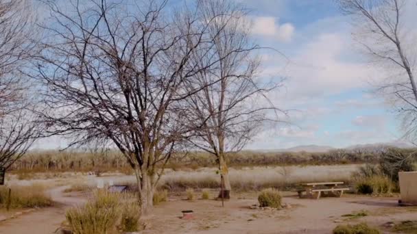 Vogelhabitat in San Pedro Riparian Conservation Area, Arizona — Stockvideo