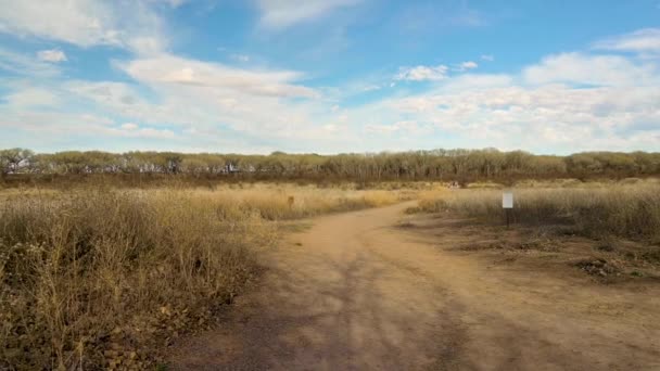 Grassland and wildlife area in Arizona, panning shot — Stock Video