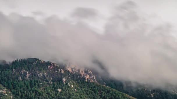 Timelapse di nuvole sopra la montagna vicino a Tucson, Arizona — Video Stock