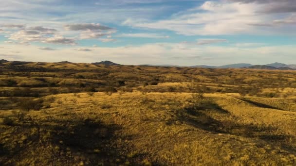 Los pastizales marrones dorados de Sonoita, Arizona, clip de dron — Vídeos de Stock