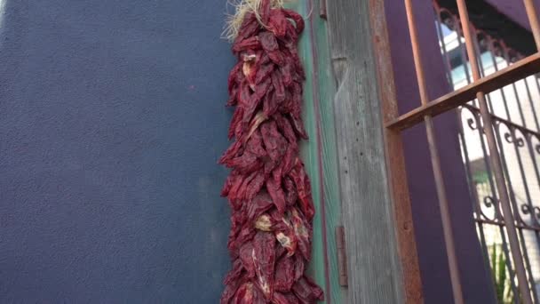 Chiles rojos secos colgando de una puerta - inclínate hacia abajo — Vídeos de Stock