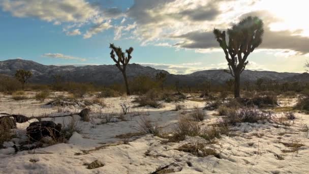 El hermoso atardecer de invierno sobre el Parque Nacional Joshua Tree en California — Vídeos de Stock