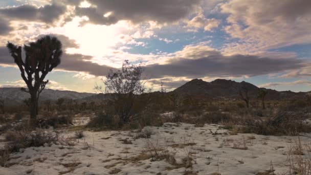Το όμορφο ηλιοβασίλεμα χειμώνα πάνω από το Joshua Tree National Park, Καλιφόρνια — Αρχείο Βίντεο