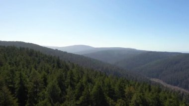 Kaliforniya 'daki Redwood Kıyı Ormanı' nı tarıyoruz.