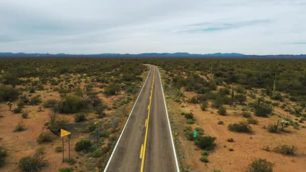 Uma rota vazia do estado do Arizona-86 entre Tucson e Ajo no Arizona, EUA — Vídeo de Stock