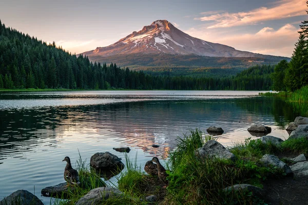 Piękny widok z jeziora Trillium do Mt. Kapturek w Oregonie — Zdjęcie stockowe