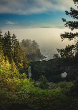 Güney Oregon Sahilinde Doğal Köprüler kaya oluşumları. 