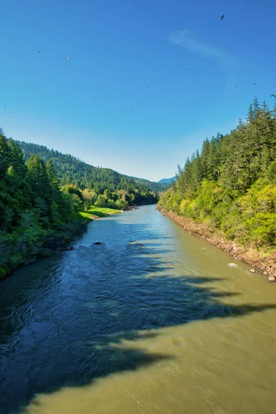 Güney Oregon 'daki Rogue River' da bir yaz günü. Dikey resim.