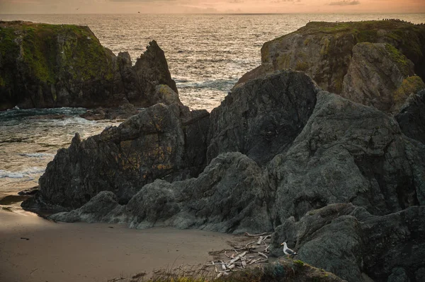 オレゴン州の美しい海岸の夕日のシーン — ストック写真
