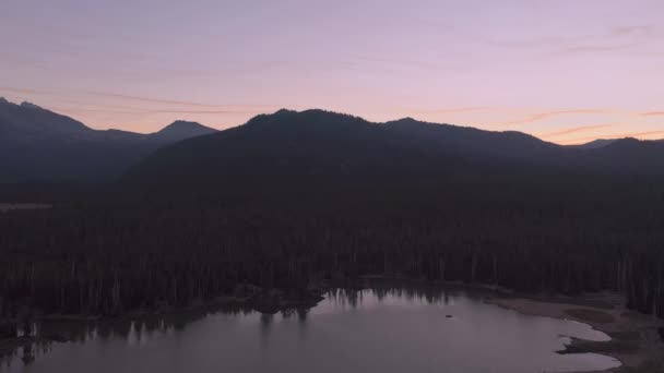 Bos in Oregon in de buurt Bend over opgedroogde Sparks Lake met roze lucht uit 2020 vuur — Stockvideo