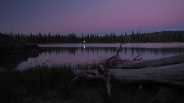 Autokoplampen reflecteren in glazig meer tijdens zonsopgang in bosgebied. — Stockvideo