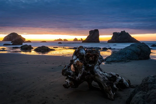 Face Rock in Bandon Oregon during sunset with driftwood in foreground.