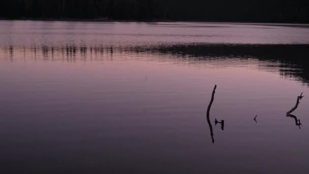 Ondulations rondes de la roche tombée dans le fond abstrait du lac. — Video