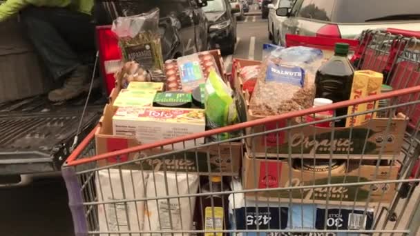 Košík plný produktů Costco. Muž nakládá náklaďák. — Stock video