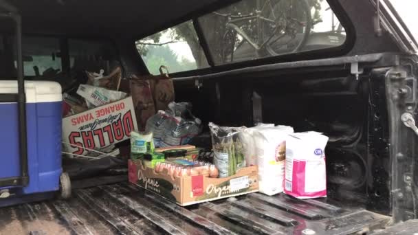 Winkelwagen vol met Costco producten. Man laadt vrachtwagen op. — Stockvideo