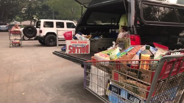 Cart full of Costco products. Man loading up truck. — Stock Video