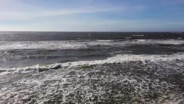 鼓手跟在一个放风筝的人后面在开阔的海洋里 — 图库视频影像