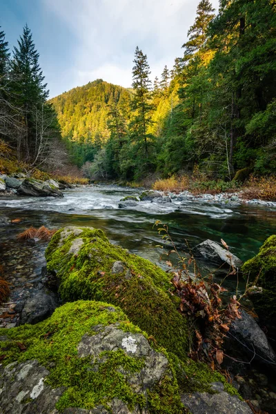 Vibrant colorful Elk River in Oregon with trees and mossy rocks — Stock Photo, Image