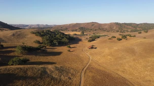 Luchtdrone van bruine kale heuvels met eiken bomen in Californië — Stockvideo