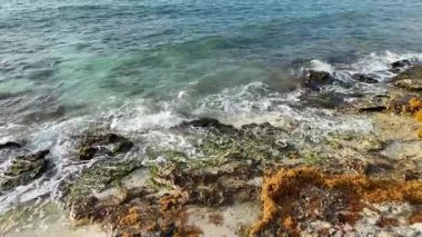 Meksika Karayipleri, günbatımında yukarıdan yakalandılar, kristal berrak deniz ve beyaz kumla övünüyorlar. Seyahat, turizm, tatil ve rahatlama gibi temalı videolar için mükemmel.