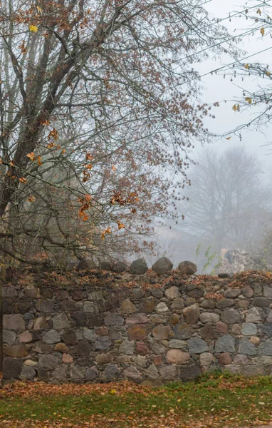 Autumn foggy morning. An old wall of big stones. Tree with fallen leaves.  Sad landscape. Selective focus