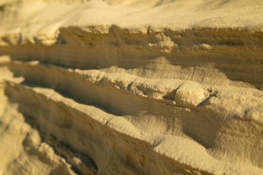 Çölde kum dalgaları. Kumda çalı çırpı. Ukrayna doğası.