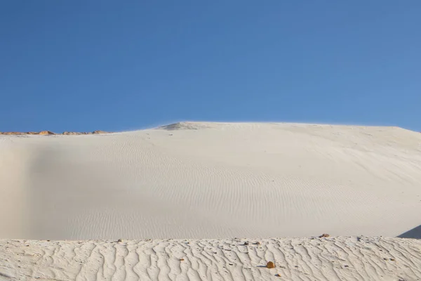Fale piasku na pustyni. Krzewy w piasku. Ukraiński charakter. — Zdjęcie stockowe