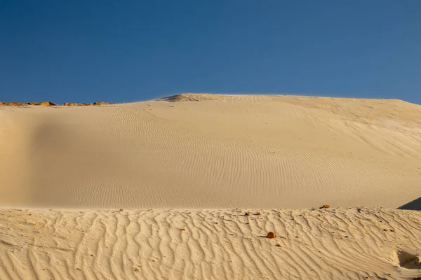 Sand waves in the desert. Bushes in the sand. Ukrainian nature. — Stock Photo, Image