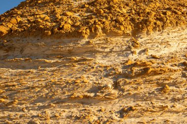 Çölde kum dalgaları. Kumda çalı çırpı. Taşlaşmış kum.