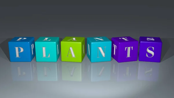 Planten Gerangschikt Met Kubieke Letters Een Spiegelvloer Ideaal Voor Concept — Stockfoto