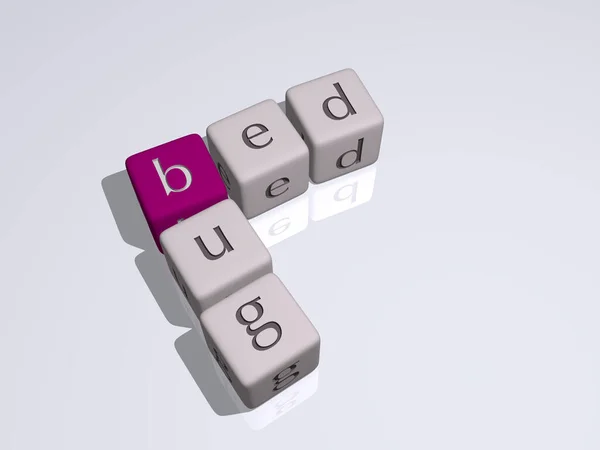 Combination Bed Bug Built Cubic Letters Top Perspective Excellent Concept — Stock Photo, Image