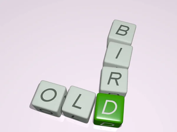 Old Bird Сочетании Dice Буквами Цветовым Скрещиванием Соответствующих Значений Концепции — стоковое фото