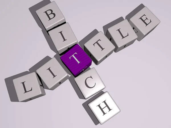 Crosswords Little Bitch Arranged Cubic Letters Mirror Floor Concept Meaning — Stockfoto
