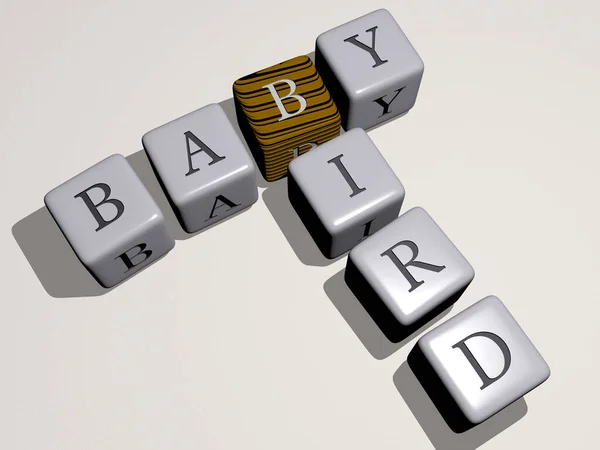 Combinação Baby Bird Construído Por Letras Cúbicas Partir Perspectiva Superior — Fotografia de Stock