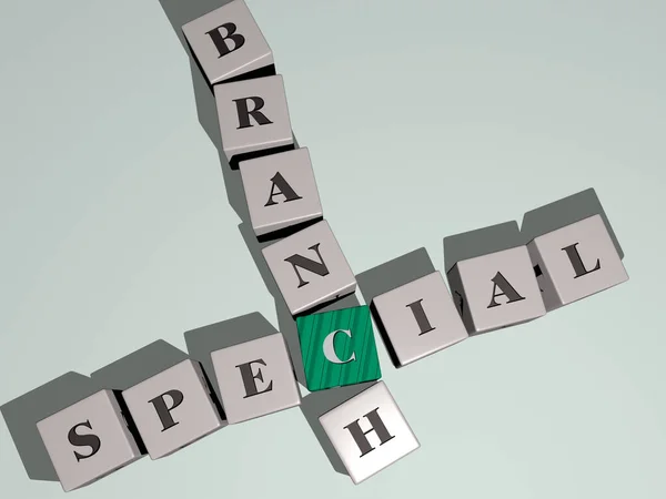 Speciális Branch Kombinálva Kocka Betűk Színátmenet Kapcsolódó Jelentése Koncepció Illusztráció — Stock Fotó
