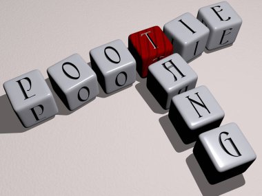 POOTIE TANG 'ın bulmacaları ayna zemininde kübik harflerle düzenlenmiş, kavram anlamı ve sunumu. Çince ve Çince