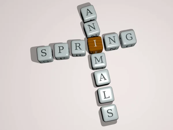 Spring Zvířata Kombinaci Kostkami Písmeny Barevným Křížením Pro Související Významy — Stock fotografie