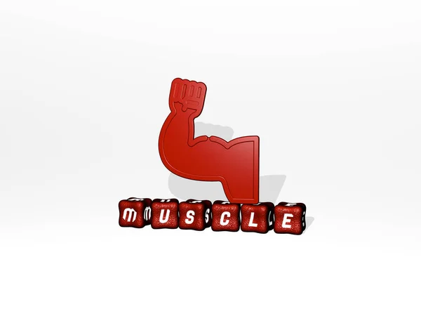 Representação Músculo Com Ícone Parede Texto Dispostos Por Letras Cúbicas — Fotografia de Stock