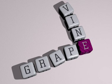 Ayna zemininde kübik harflerle düzenlenmiş GRAPE VINE bulmacaları, kavram anlamı ve sunum. arka plan ve şarap