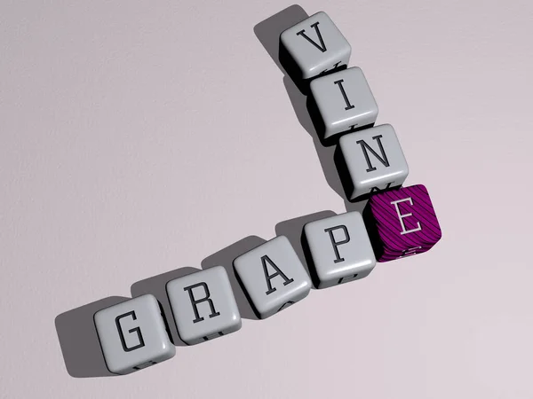 Korsord Grape Vine Arrangeras Kubikbokstäver Ett Spegelgolv Begrepp Mening Och — Stockfoto