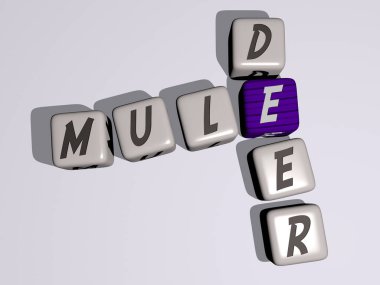 Üst perspektiften kübik harflerle oluşturulan MULE DEER kombinasyonu, konsept sunumu için mükemmel. hayvan ve eşek.