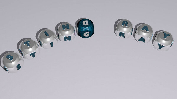 сочетание STING RAY, построенное кубическими буквами с верхней точки зрения, отлично подходит для презентации концепции. иллюстрация и фон