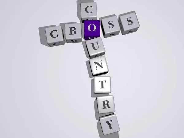 Cavalli Cross Country Cross Word Cubic Dice Letters Illustrazione Sfondo — Foto Stock