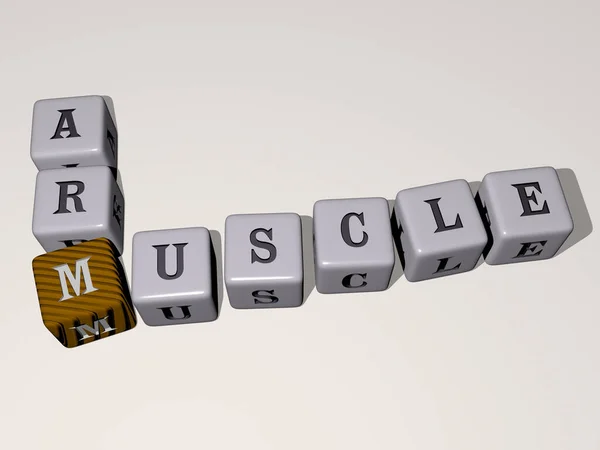 Muscle Arm Kreuzworträtsel Durch Würfelbuchstaben Illustration Für Körper Und Fitness — Stockfoto