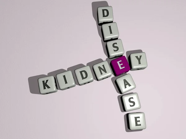 Kidney Disease Keresztrejtvény Kocka Betűkkel Illusztráció Háttér Anatómia — Stock Fotó