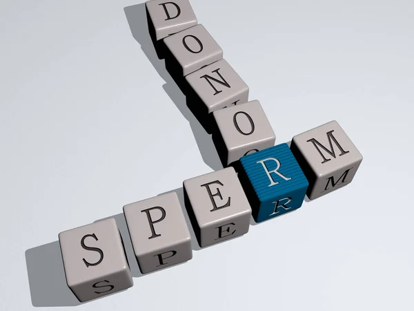 SPERM DONOR crossword by cubic dice letters, 3D illustration for egg and cell
